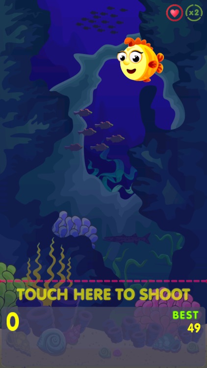 Super Fish Find Exploration