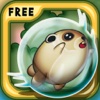 Hamster Rolling Game: Tiny Pet Ball