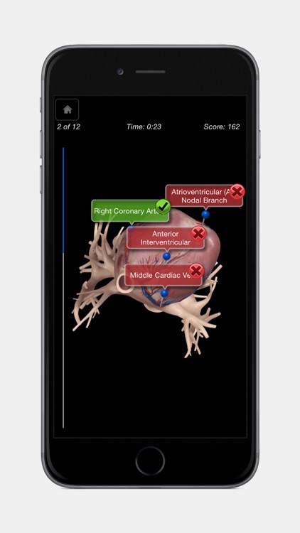 Heart Pro III - iPhone Edition screenshot-4