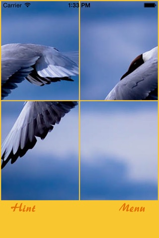 Birds and Sky Jigsaw Puzzle screenshot 4