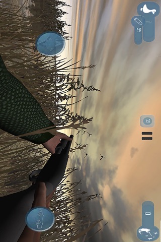 Duck hunter game screenshot 2