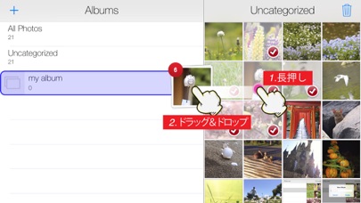 超簡単！アルバム整理 screenshot1