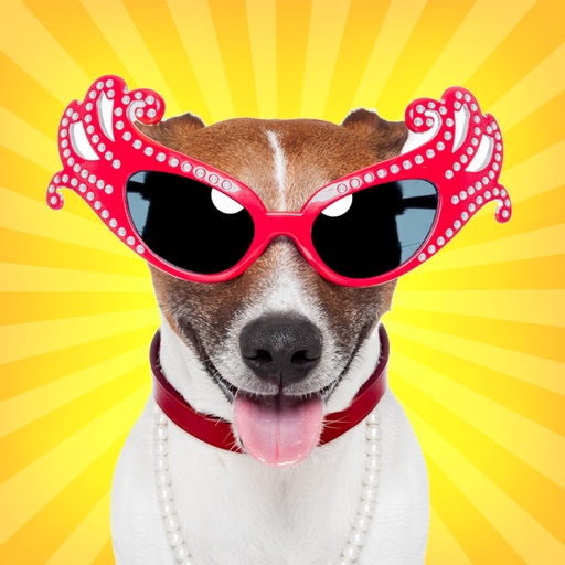 Guess the Dog - Free Breed Photo Quiz Game Icon