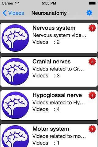 Neuroppt screenshot 4