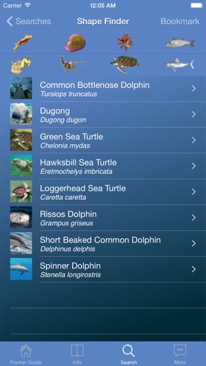 Pocket Guide Red Sea(圖4)-速報App