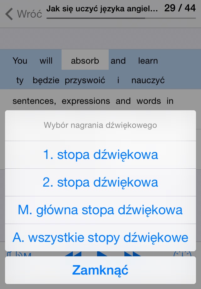 Angielski na co dzień screenshot 4