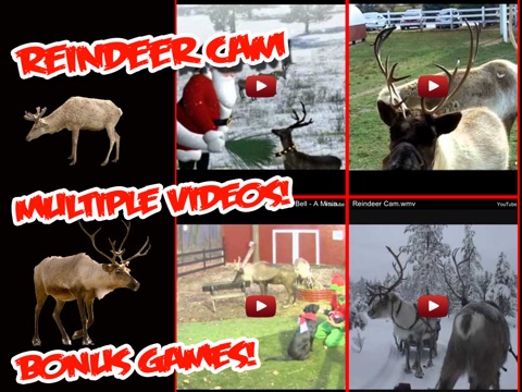 ReindeerCam - Watch Santa's Reindeer & More screenshot 2