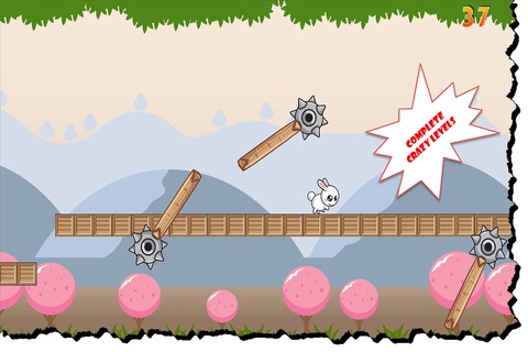 Rabbit Run Pro 1.0 screenshot 3