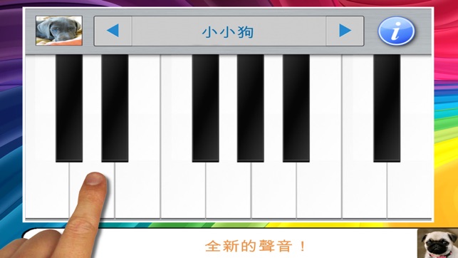 狗玩具鋼琴和小狗鍵盤曲調