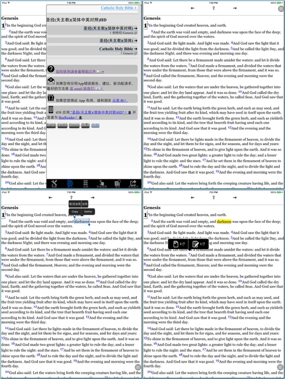 圣经(天主教)(简体中英对照)HD screenshot-4
