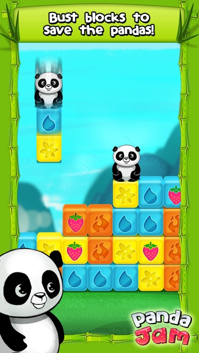 Panda Jam Screenshot 2