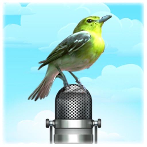 Bird Picture & Sound Pro icon