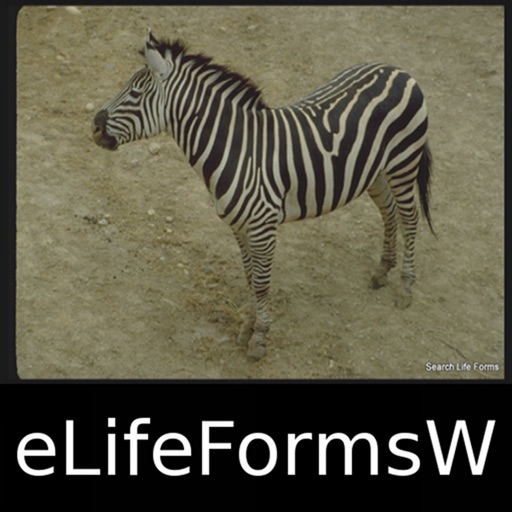 World Life Forms Sampler - eLifeFormsW - An Introductory Life Form App Icon