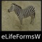 World Life Forms Sampler - eLifeFormsW - An Introductory Life Form App