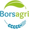 Borsagri