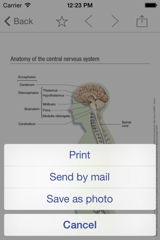 CNS MINIATLAS screenshot 3