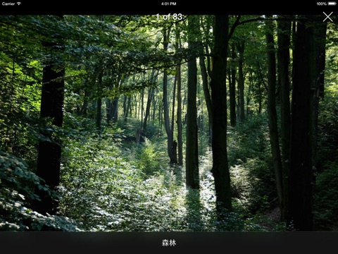 奇妙的森林世界 screenshot 2