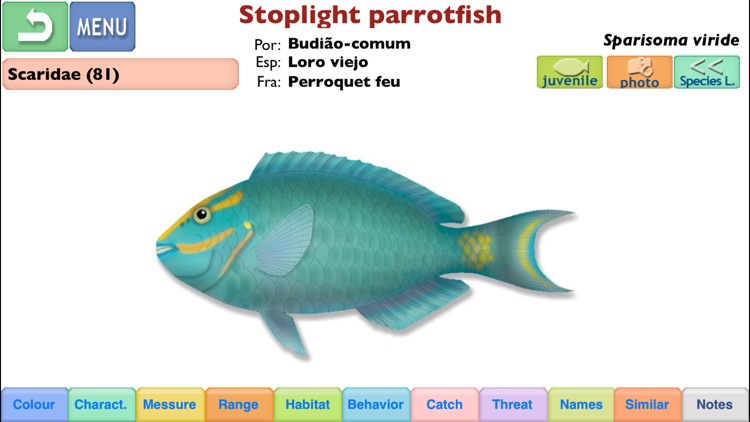 Marine Fishes - Identification Guide