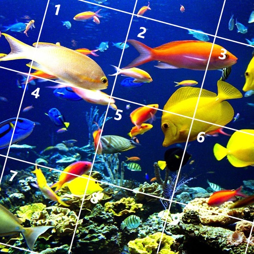 Fish Jigsaw Puzzles icon