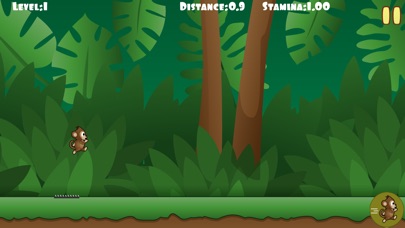 MONKEY RUN - THE ENDLESS MARATHON GAME 1.0 IOS