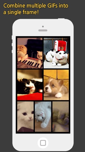 GIF Grid - Combine multiple GIFs into frames(圖1)-速報App