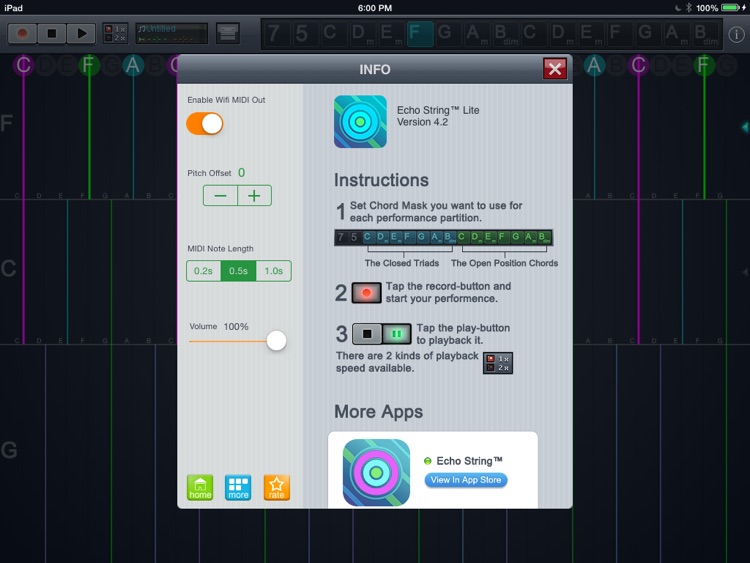 Echo String™ Lite screenshot-4