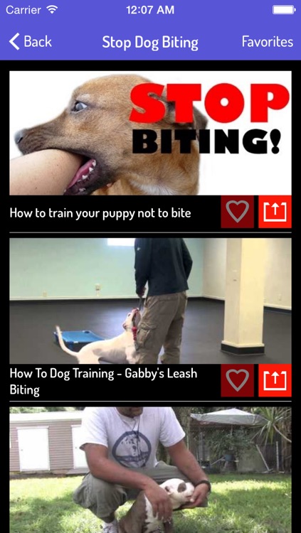 Dog Training Video Guide