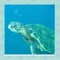 Sea Turtle Simulator 3D