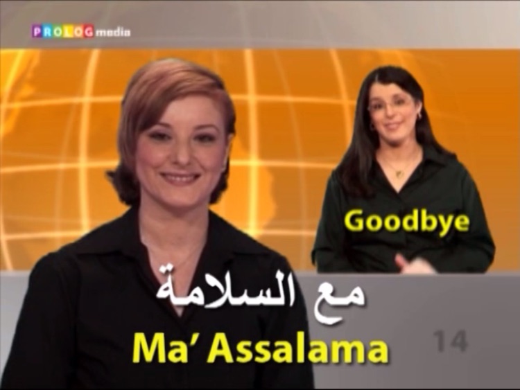 ARABIC - Speakit.tv (Video Course) (7X011ol) screenshot-3