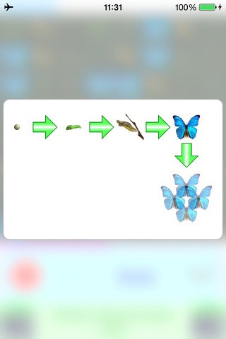 Chain Reaction Butterfly screenshot 2
