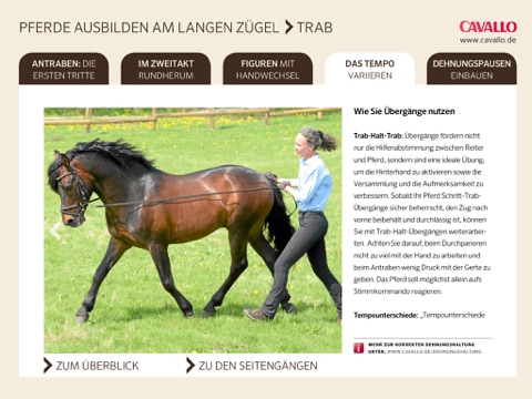 CAVALLO HorseCoach: Pferde ausbilden am Langen Zügel screenshot 3