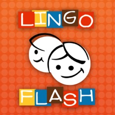 Activities of LingoFlash English-Farsi