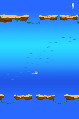 Dolphin Tap Swim - Underwater Maze Diving screenshot 2