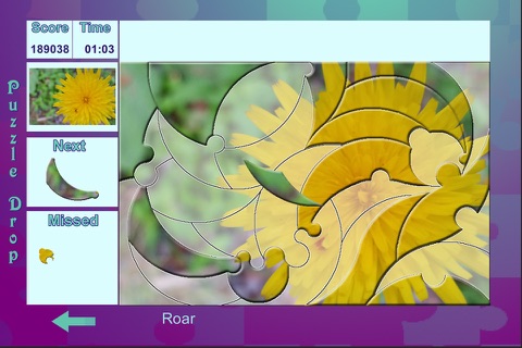 Puzzle Drop - Flower Set screenshot 2