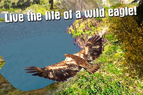 Wild Eagle: Bird Survival Simulator 3D Full screenshot 3