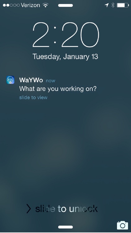WaYWo Mobile Time Tracking for Clarity screenshot-3