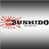 Villatoro Bushido Martial Arts