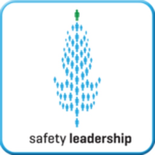 DSW - Safety Icon