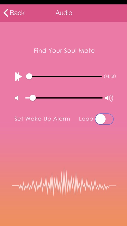 Find Your Soul Mate by Shazzie: A Guided Meditation for True Love