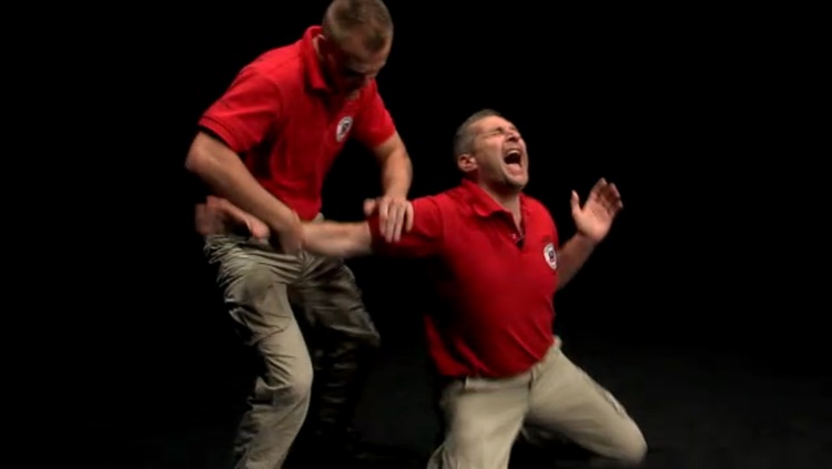 Krav Maga - Basic Techniques
