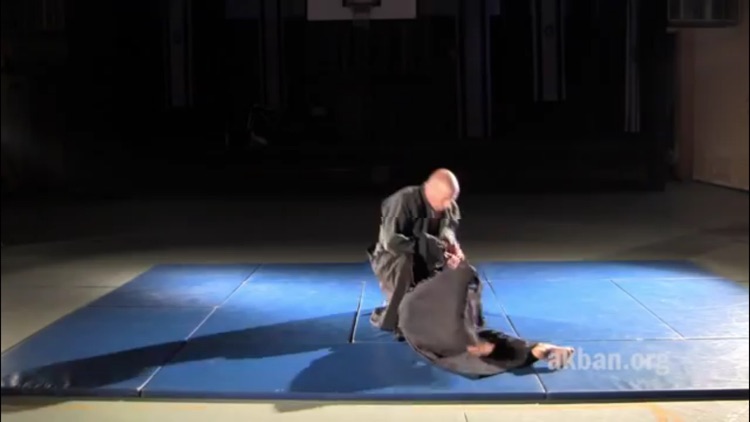 Ninjutsu screenshot-4