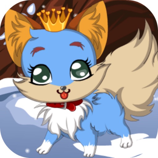 Cute Little Raccoon iOS App
