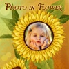 Photos on Flower Frames