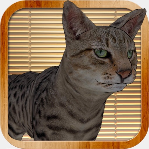 Kitty Cat Simulator: destroy all! Icon