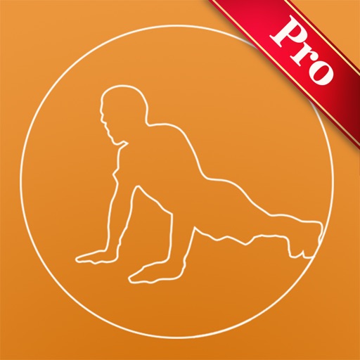 Plank&PushUp Pro icon