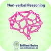Train Your Brain - Non-verbal Reasoning Lite
