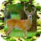 Whitetail Deer Hunting Reloaded