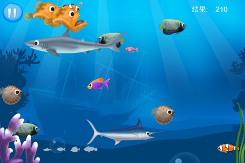 The Best Hungry Fish+ screenshot 3