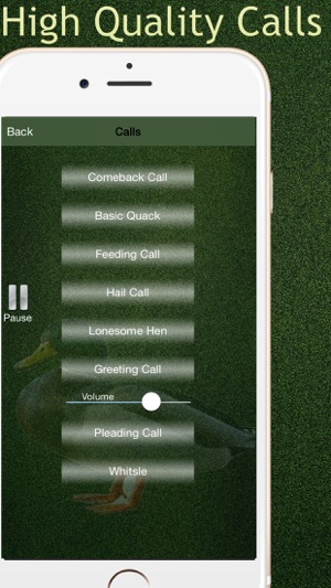 Pro Duck Calls & I.D.(圖2)-速報App