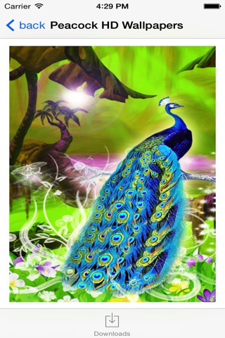 Peacock HD Wallpaper for iPhone screenshot 4